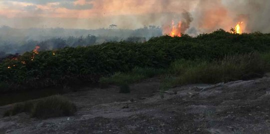 Api kembali berkobar di Penajam Paser Utara Kaltim