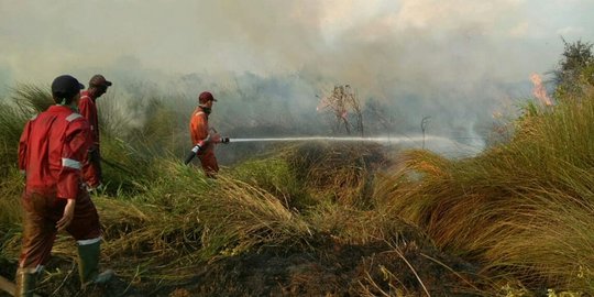 4 Hektar lahan di sekitar tol Palembang-Indralaya terbakar