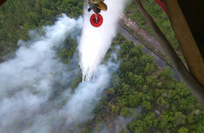 kebakaran hutan di sumsel