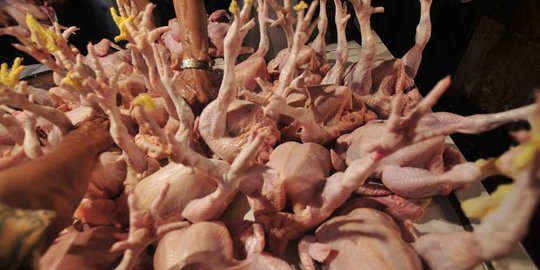 Pemerintah naikkan harga acuan daging ayam di konsumen menjadi Rp 34.000 per Kg