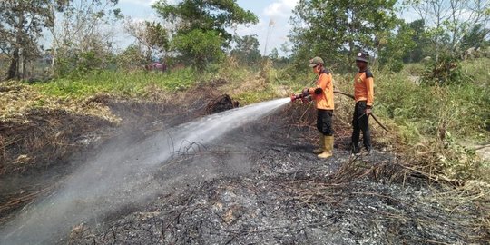 82 Hektare hutan dan lahan di PPU Kaltim hangus usai 4 hari terbakar