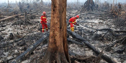 Hutan dan lahan di Riau terbakar, muncul 32 titik panas dan kabut asap
