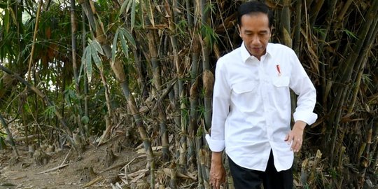 Presiden Jokowi dijadwalkan kunjungi korban gempa di Palu-Donggala