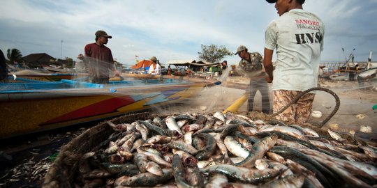 ESDM kenalkan teknologi pendingin baru bermanfaat untuk nelayan