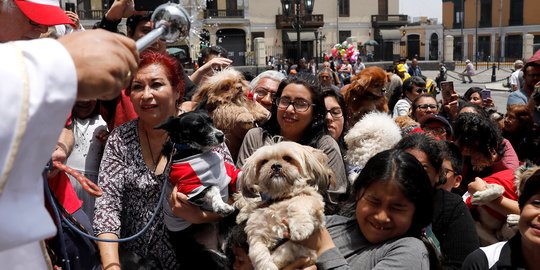 Puluhan hewan peliharaan ikuti upacara pemberkatan di Peru