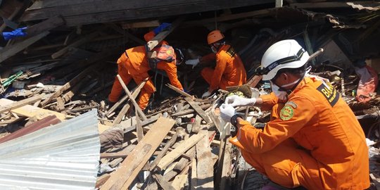 BNPB pilah bantuan dari 17 negara untuk korban bencana di Sulteng