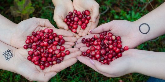 12 buah dan sayur berwarna merah dengan kandungan gizi super
