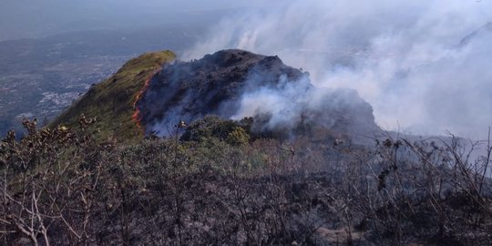 Terkendala waktu, pemadaman api di hutan Gunung Ungaran dilanjut besok