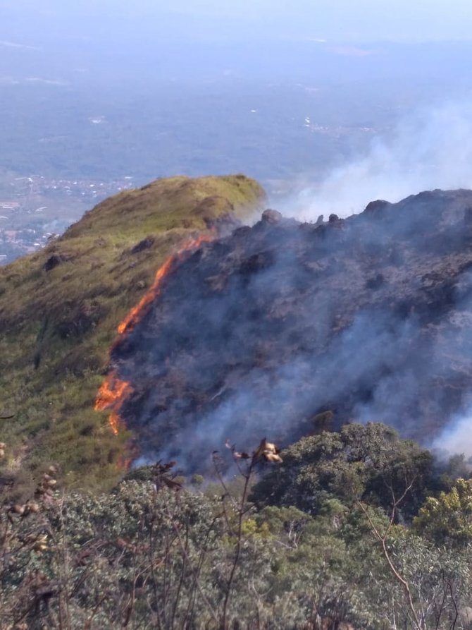 kebakaran gunung ungaran