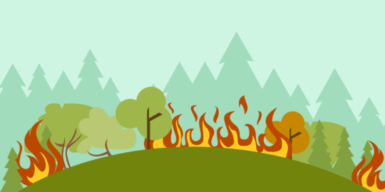 900 Hektare hutan Gunung Ciremai hangus dilahap api