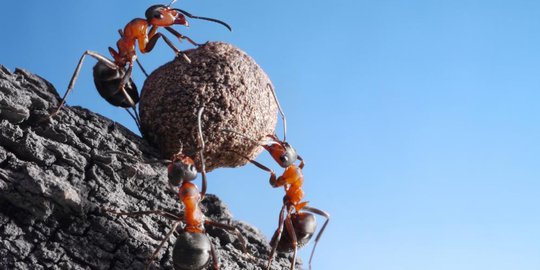 7 tips memilih rekan bisnis untuk mencapai kesuksesan