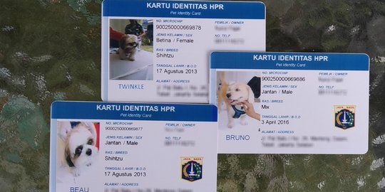 Pemprov DKI anggarkan Rp 925 juta untuk pengendalian rabies