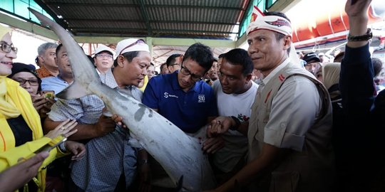 Pengusaha ngeluh tapioka dikuasai 'pemain besar', ini janji Sandiaga