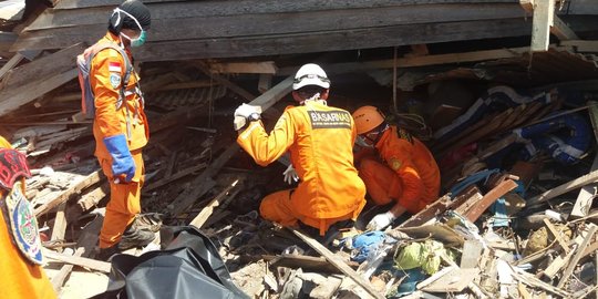 Puluhan profesor dunia kumpul di Banda Aceh bahas mitigasi bencana