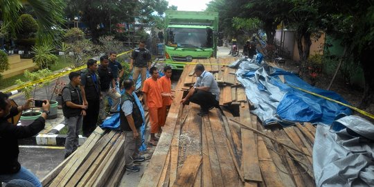 19 Pelaku pembalakan liar di hutan Pelalawan dibekuk polisi