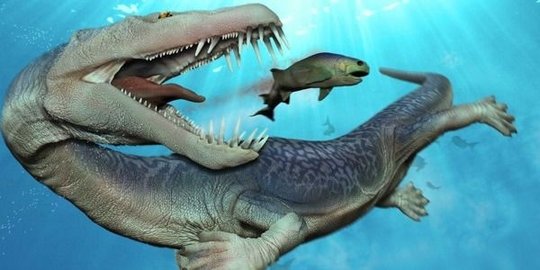 7 monster laut prasejarah yang jauh lebih seram dari hiu putih!