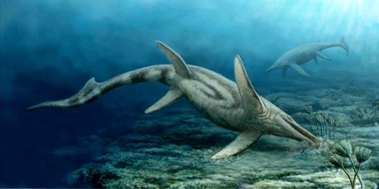 7 Monster Laut Prasejarah Yang Jauh Lebih Seram Dari Hiu Putih