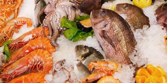 es karena ikan perairan tropis lebih mudah busuk