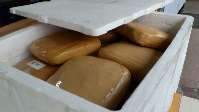 polresta depok bongkar kasus peredaran ganja