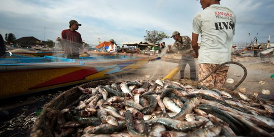 Genjot produksi ikan, KKP bakal bangun cold storage di Gorontalo