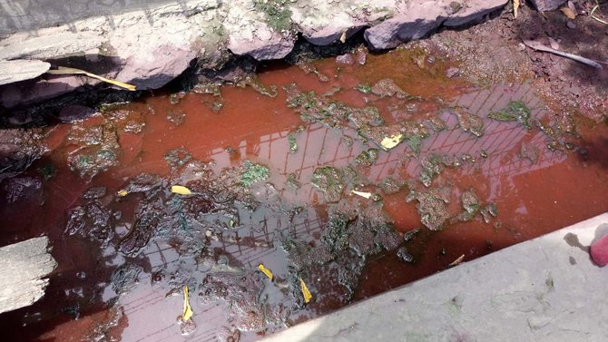 air pdam berwarna merah darah