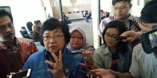 Menteri Siti sebut roadmap penanganan limbah Freeport baru 60 persen