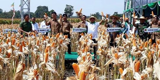 HKTI pamerkan hasil sistem tanam rapat kepada petani di Jatim