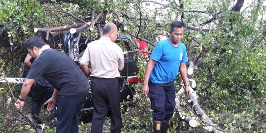 Sejumlah pohon tumbang menimpa mobil usai hujan angin di Solo