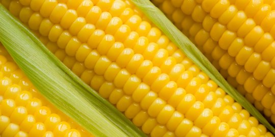 10 bahan makanan yang sempat diyakini sebagai keajaiban dari para dewa