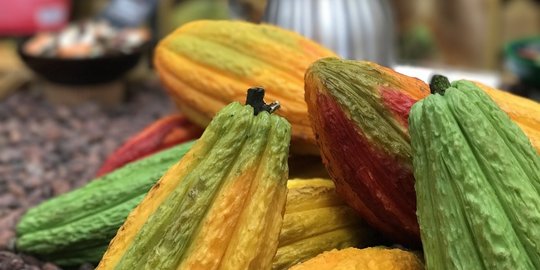 10 bahan makanan yang sempat diyakini sebagai keajaiban dari para dewa