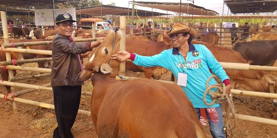 Dalam 2 tahun, anak sapi hasil program inseminasi buatan catat nilai tambah Rp 17 T