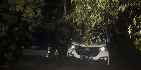 Hujan angin sebabkan pohon tumbang dan timpa 6 mobil di Tangsel