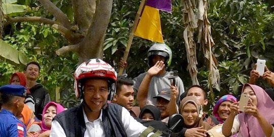 pokok stabil rev1