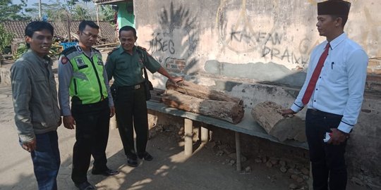 Buamin ditangkap usai curi 3 batang kayu sonokeling dari lahan Perhutani Malang