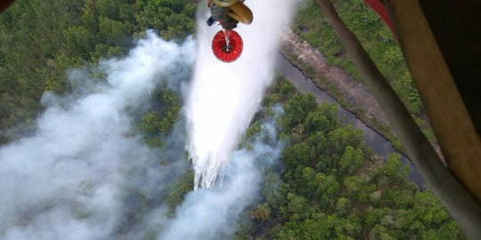 3 Korporasi dan 5 perorangan diduga terlibat kasus karhutla di Sumsel