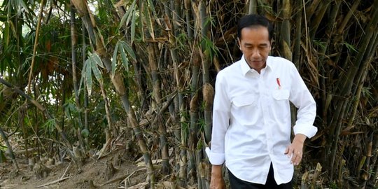 Presiden Jokowi minta industri kerja sama serap hasil produksi desa