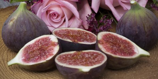 21 manfaat buah tin untuk kesehatan dan kecantikan