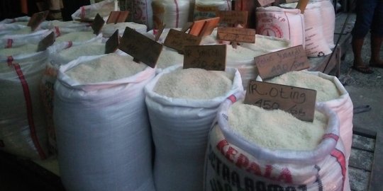 Tingkatkan pendapatan petani, ASN di Sumsel dapat jatah 20 kg beras perbulan