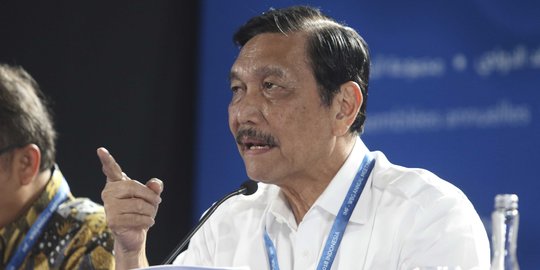 Menko Luhut: Masih banyak sektor di Indonesia yang bisa dikerjasamakan dengan China