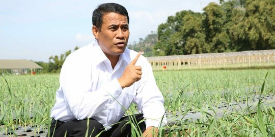 Kementan genjot program pengubahan rawa menjadi sawah