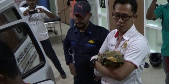 Mahasiswi di Kupang tikam bayi baru dilahirkan di indekos