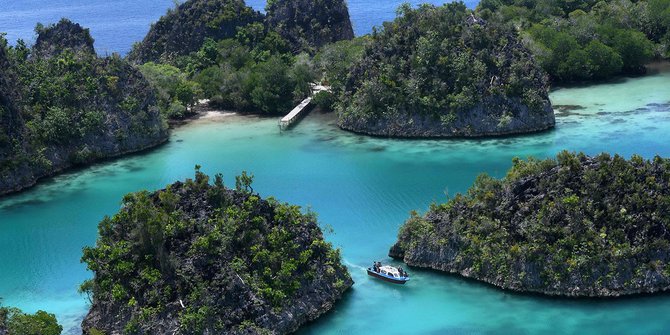 Terumbu Karang di Raja Ampat Rusak Akibat Jangkar Kapal Wisata