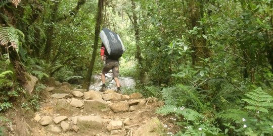 Kemenpar Siapkan Bimtek Ekowisata Hutan Gede Pangrango