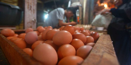 Cegah Harga Telur Naik, Kementan Didesak Segera Keluarkan Rekomendasi Impor Jagung