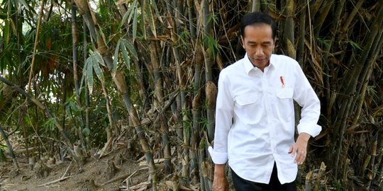 Bagikan SK IPHPS dan Kulin KK, Jokowi Minta Warga Tanam Produk Unggulan