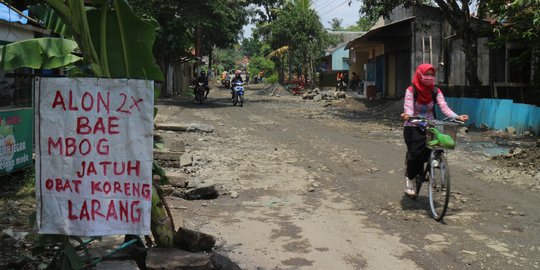 Protes Jalan Rusak Belum Diperbaiki, Warga Cilacap Tanam Pohon Pisang