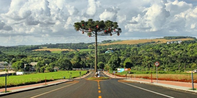 6 Struktur Menakjubkan yang Dibangun di Sekitar Pohon Berusia Ratusan Tahun