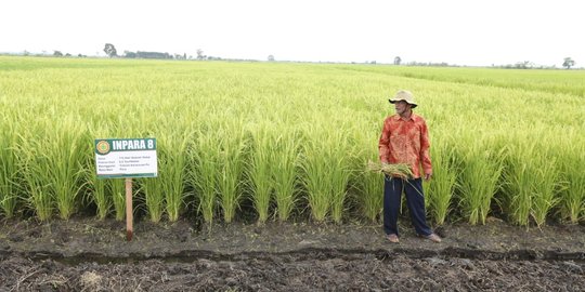 Kebijakan Tepat Hasilkan Kesejahteraan Petani Hingga Tekan Inflasi