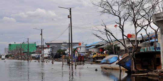 Pemprov DKI Targetkan Tanggul Pencegah Rob Selesai Desember 2018