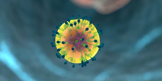 antibodi baru setiap kali terinfeksi antigen baru rev2